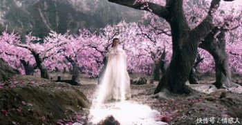 折顏封印伏羲琴第幾集