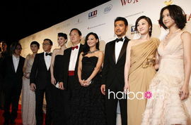 甄子丹金城武演的電影是什么