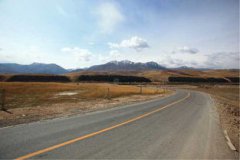 張掖到胡楊林多少公里