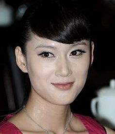 趙柯主演的電視