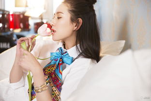 趙柯主演的電視