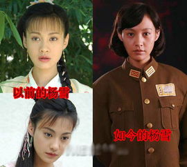 趙海比楊雪大多少歲