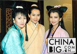 趙雅芝怎樣對待葉童