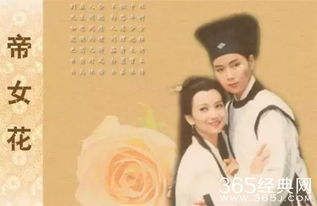 趙雅芝看過葉童表白嗎