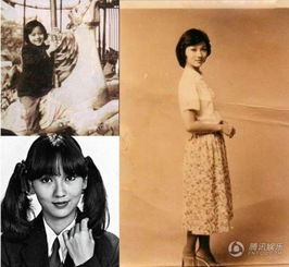 趙雅芝祖籍是哪里人