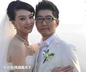 趙胤胤與陳數有孩子嗎