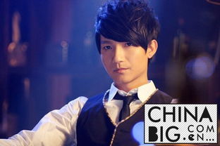 陳楚生被雪藏什么原因