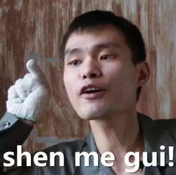 張全蛋怎么火起來的