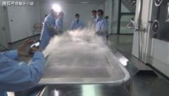 展文蓮解凍成功了嗎