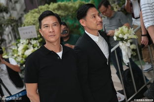 張家輝和劉德華演的電影