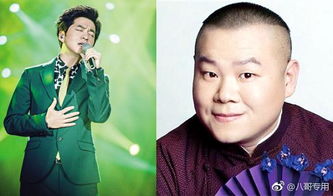 張碧晨唱涼涼用假音嗎