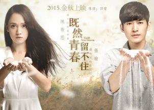 張翰和陳喬恩演的電影是什么