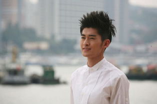 張翰粉絲暴漲多少