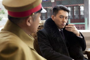 怎么感覺王鷗喜歡靳東