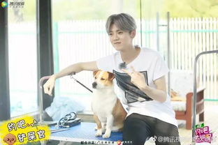 約吧大明星鹿晗喬欣哪一期