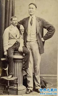 詹世釵是怎么死的