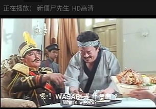 大帥請林正英看風(fēng)水是什么電影