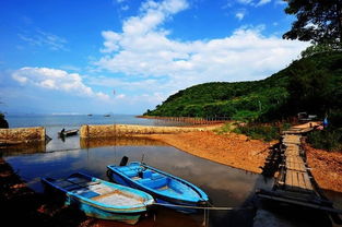 大鵬新區屬于深圳哪個區