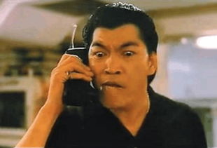 成奎安什么時候去世