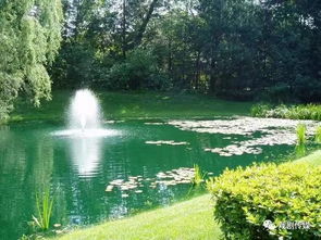 池子與河流的作者是哪國的