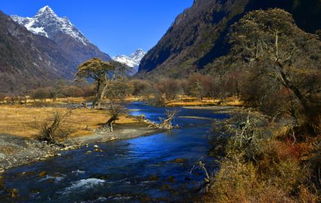 池子與河流的作者是哪國的