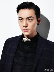 陳偉霆什么星座