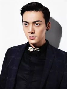 陳偉霆是哪的人