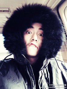 陳偉霆是哪的人