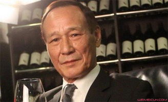 陳惠敏是陳慧琳的什么