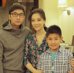 陳數有兒子了嗎