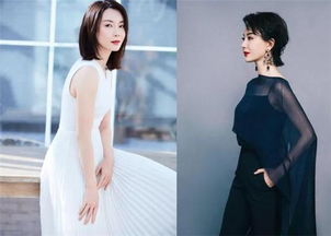 陳數(shù)結(jié)幾次婚