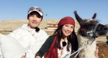 陳松伶為什么坐輪椅