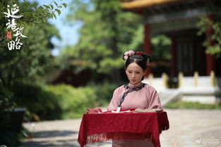 鄧莎在延禧攻略演的誰