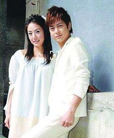 陳若儀林志穎怎么在一起的