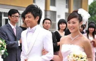 陳若儀林志穎怎么在一起的