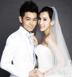 陳若儀林志穎怎么在一起的