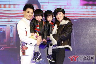 陳若儀林志穎怎么在一起的