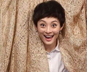 佟大為為什么沒娶孫儷