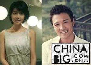 于小偉高圓圓為什么分手