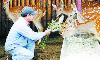 東北三寶是哪三寶
