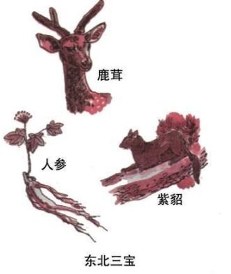 東北三寶是哪三寶