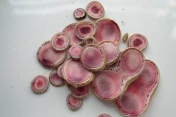 東北三寶是哪三寶