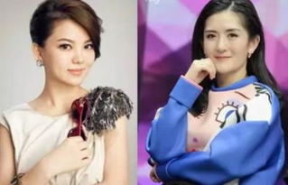 何炅為謝娜打李湘是什么原因