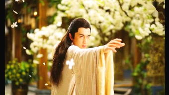 竇驍為什么叫柿子