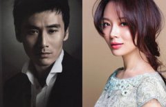 柳云龍陳數關系好嗎