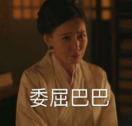 林小娘第幾集下線的