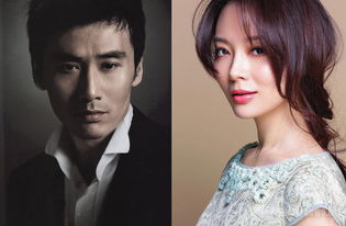 柳云龍陳數關系好嗎