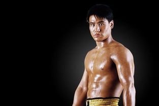 柳海龍現(xiàn)在做什么