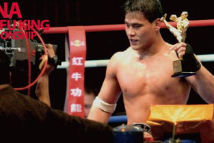 柳海龍現(xiàn)在做什么