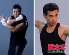 趙文卓與甄子丹是怎么回事